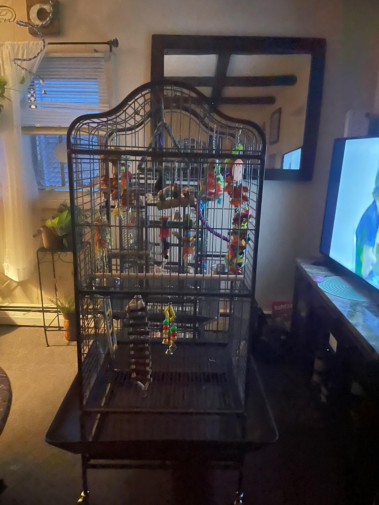 Yaheetech Extra Large Bird Cage 63'' Open Play Top Bird Cage for African Grey Parrots/Amazon Parrot/Caiques/Macaw with 360° Wheels customer photo 1
