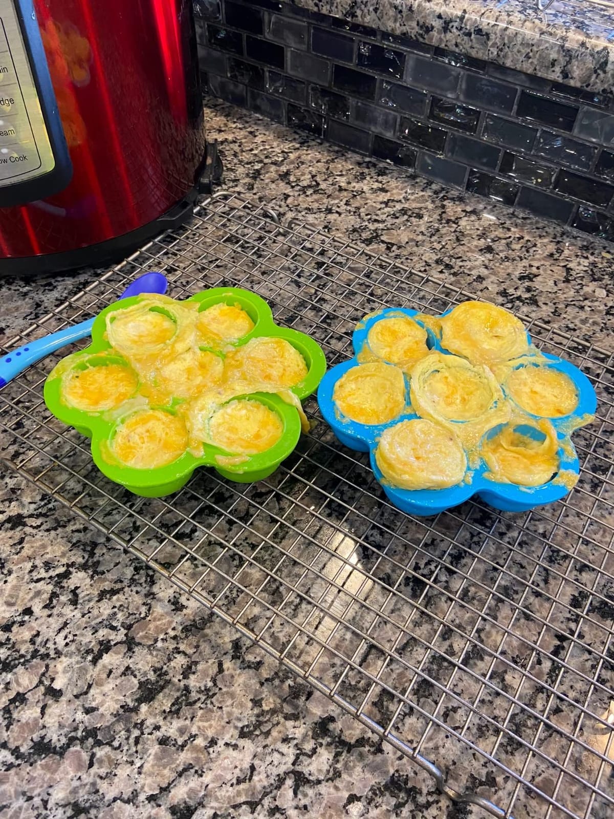 Silicone Egg Bites Mold Set of 4, Steamer Rack with Heat resistant Handle and Spoon, Reusable Sous Vide Egg Poacher with Lid Fits Instant Pot 5,6,8 qt Pressure Cooker customer photo 2