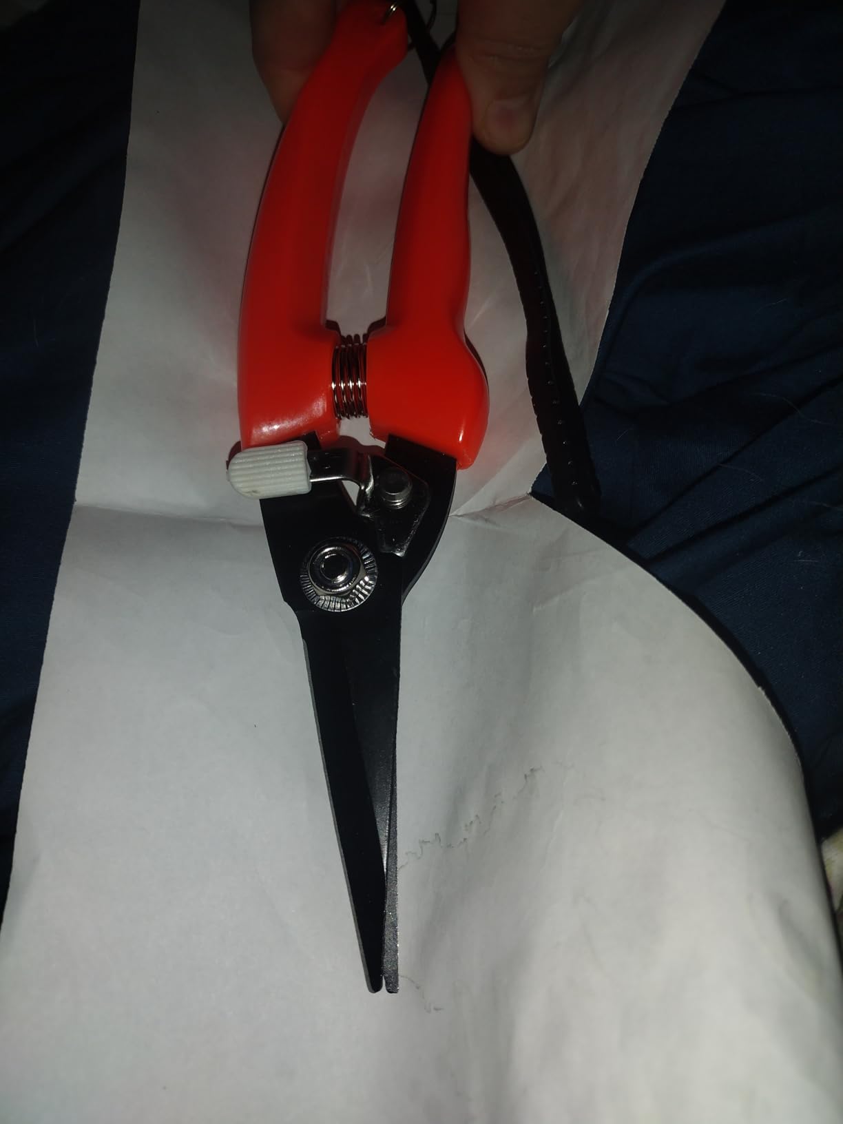 Hoof Trimmers Goat Hoof Trimming Shears Nail Clippers for Sheep, Alpaca, Lamb, Pig Hooves Multiuse Carbon Steel Trimmer customer photo 2