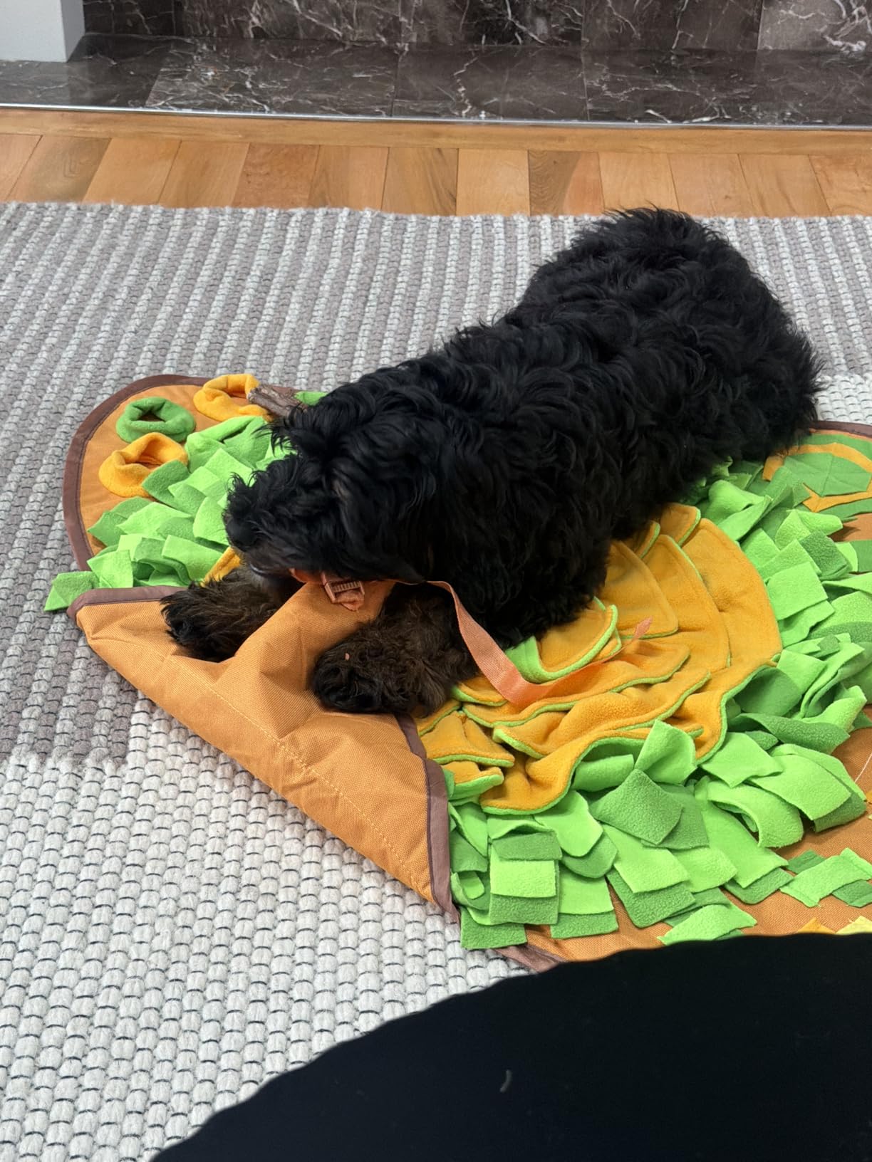 AWOOF Snuffle Mat Pet Dog Feeding Mat, 28''x28'' Interactive Dog Puzzle Toys Encourages Natural Foraging Skills customer photo 1