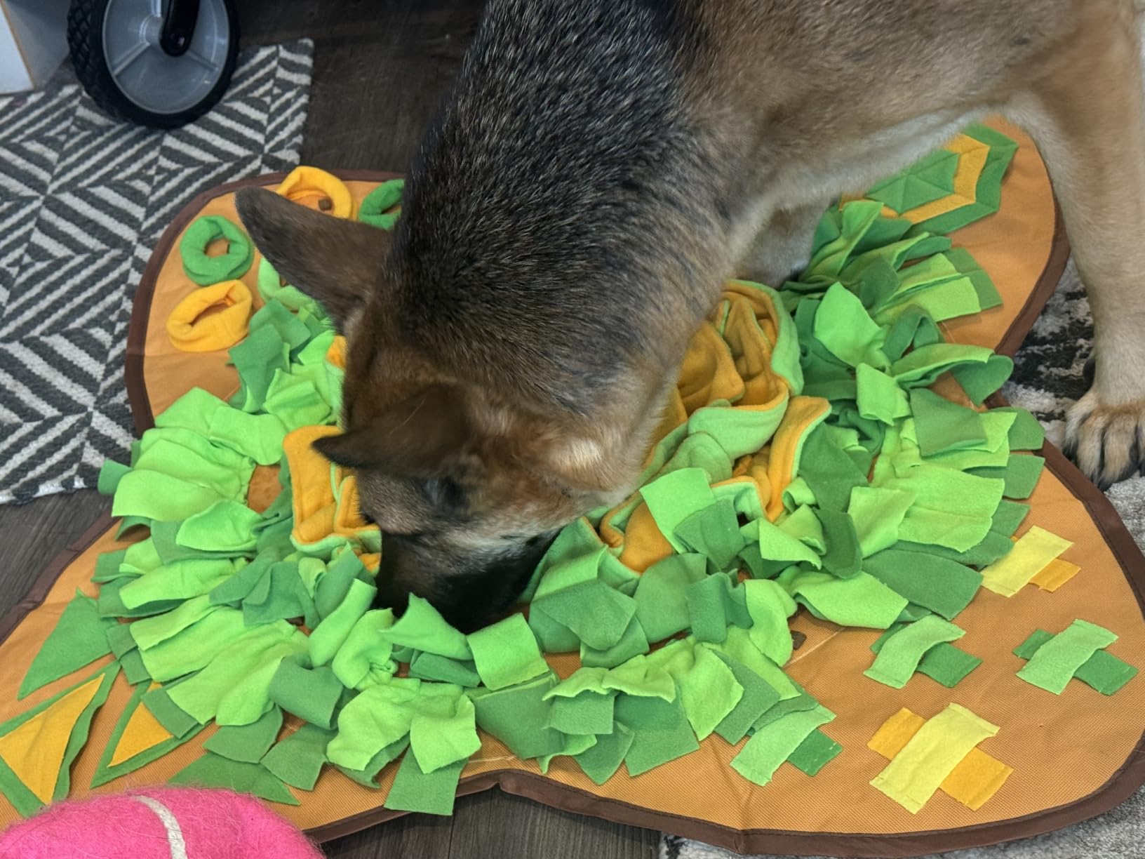 AWOOF Snuffle Mat Pet Dog Feeding Mat, 28''x28'' Interactive Dog Puzzle Toys Encourages Natural Foraging Skills customer photo 2
