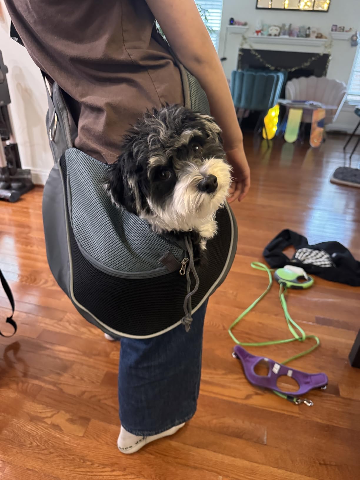 YUDODO Pet Sling Carrier for Small Dogs Cats Puppy Crossbody Bag Carrier customer photo 1