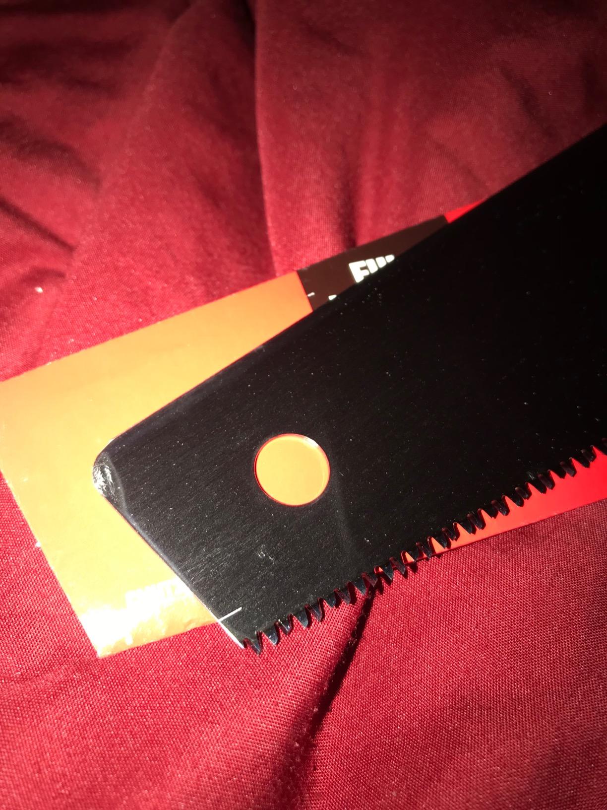CRAFTSMAN Hand Saw, 20-Inch, Fine Finish (CMHT20881) customer photo 1