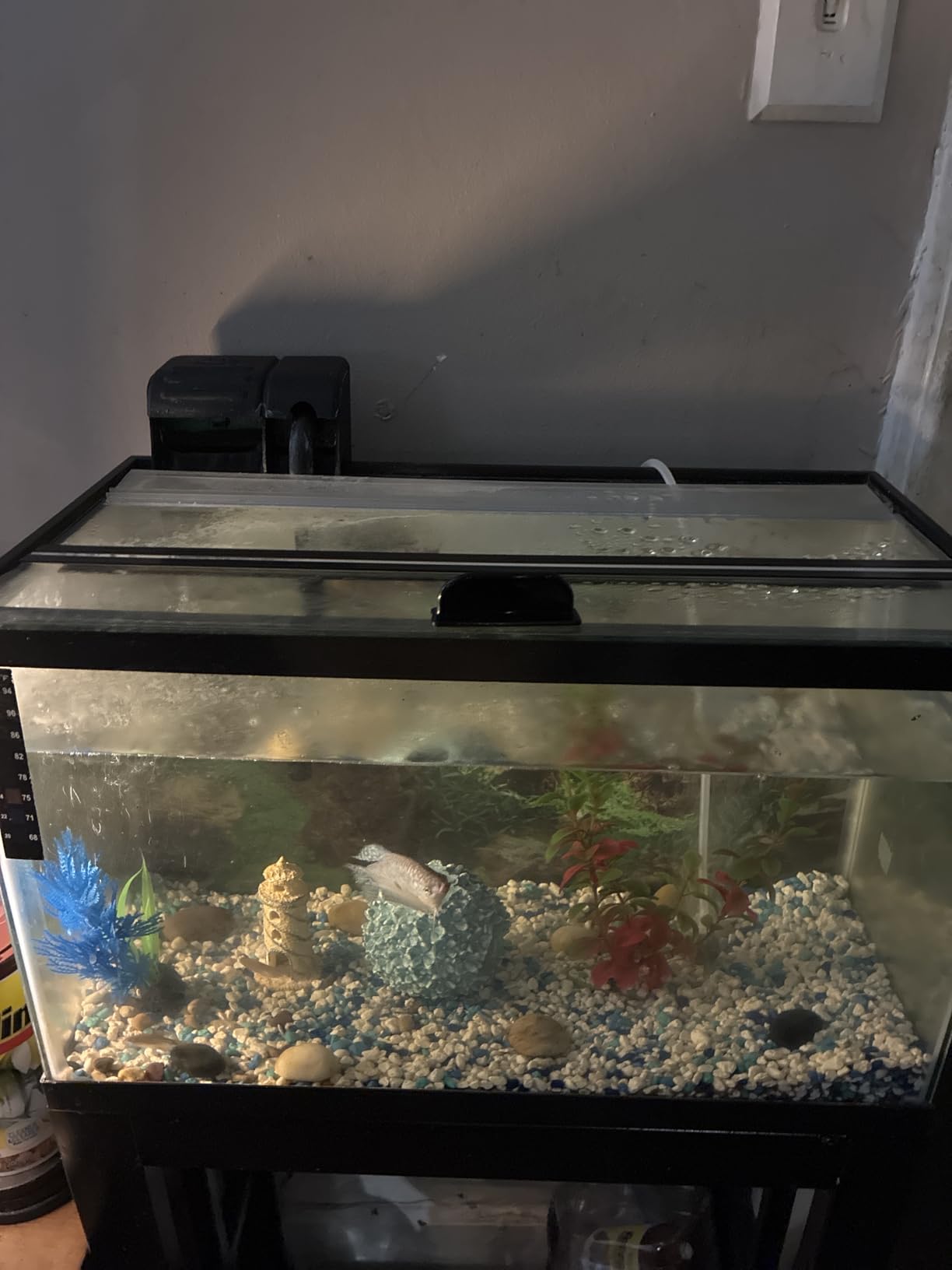 HITOP Dual Outlet Aquarium Electric Air Pump, Whisper Adjustable Fish Tank Aerator, Quiet Oxygen Pump with Accessories for 10 to 100 Gallon customer photo 1