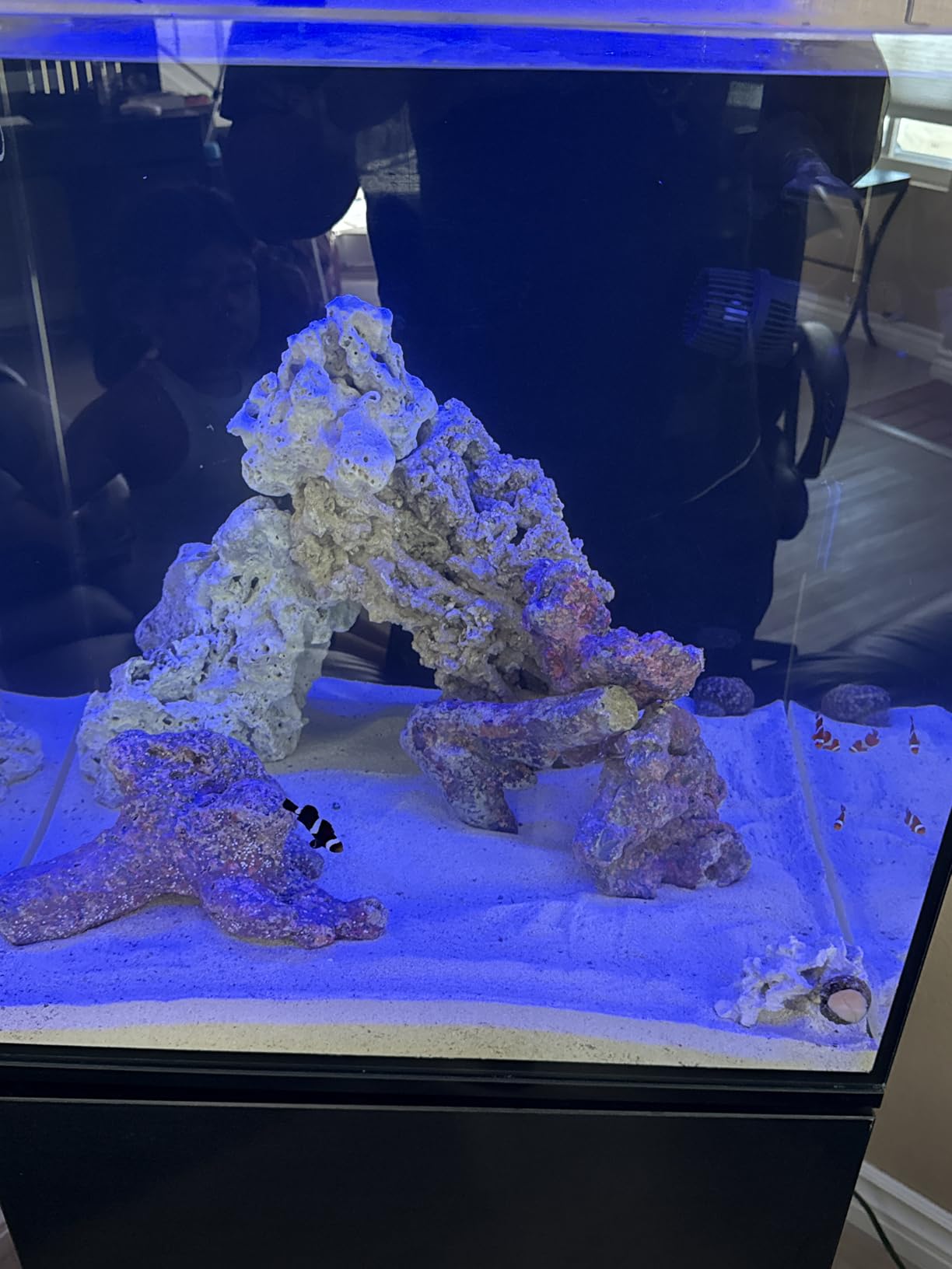 VIPARSPECTRA 165W LED Aquarium Reef Light Dimmable Full Spectrum customer photo 2
