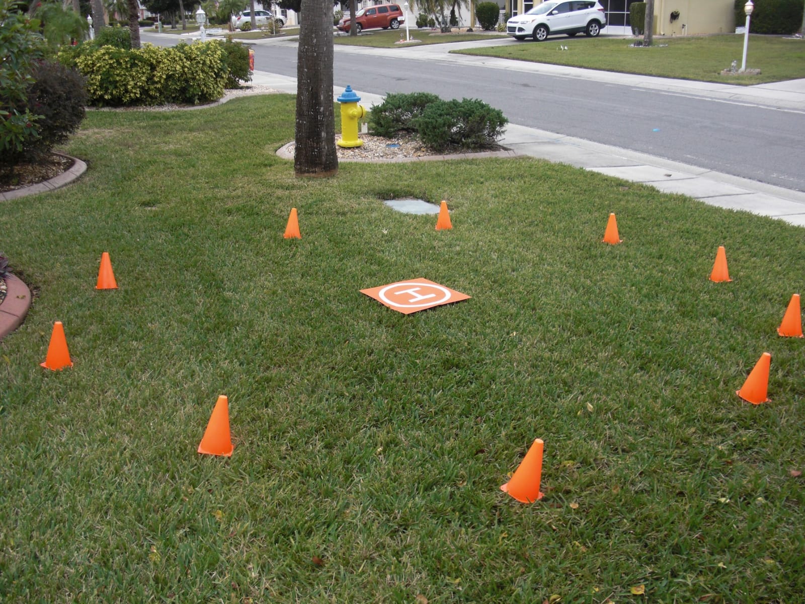9 Inch Plastic Training Traffic Cones, Sport Cones, Set of 10/12/24 customer photo 1