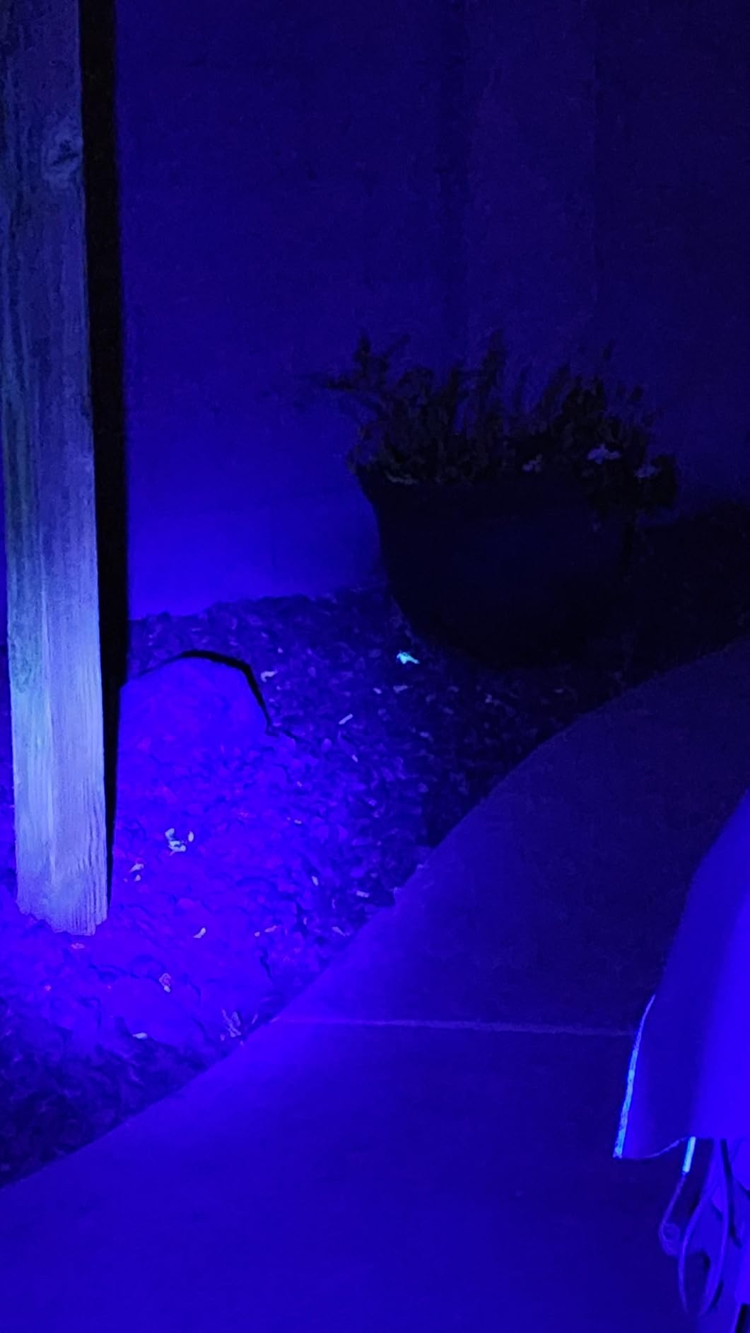 uvBeast V3 385-395nm Black Light UV Flashlight customer photo 2