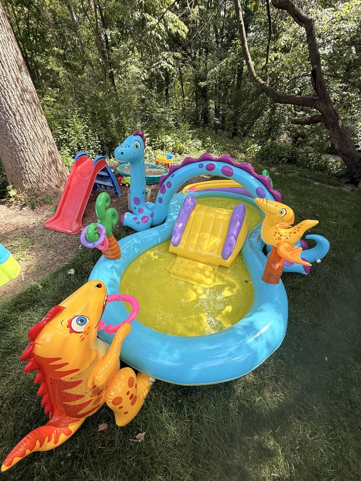 Intex Gator 6.6' x 5.6' x 4
