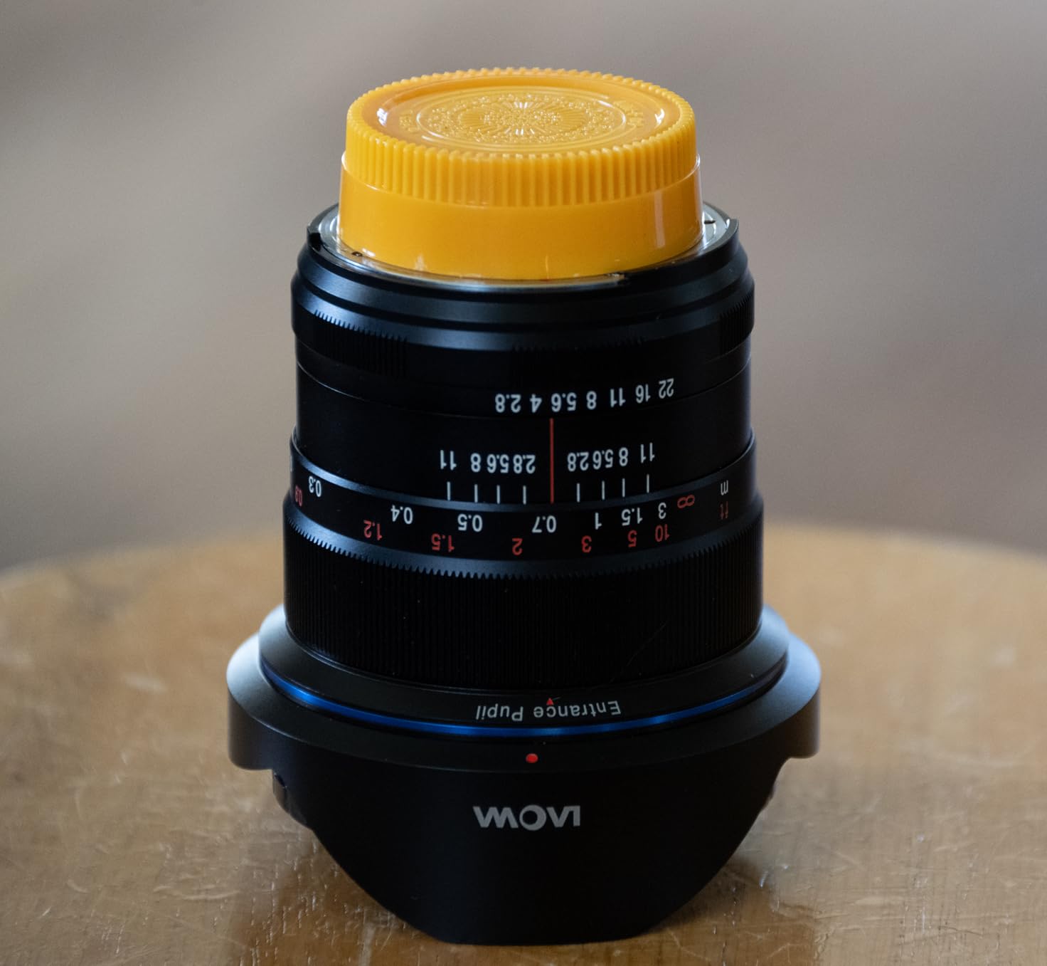 Fotodiox Designer Yellow Rear Lens Cap for Nikon Z Lenses - Compatible with Nikon Z-Mount Lenses and Adapter Mounts (Replaces Nikon LF-N1 Rear Lens Cap) customer photo 1