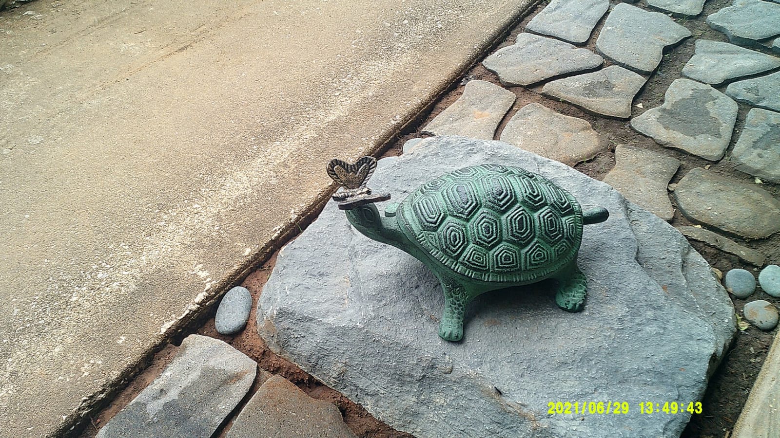 Evergreen Garden 14