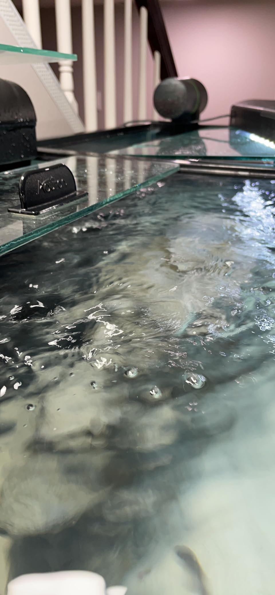 FREESEA Magnetic Wave Maker for Aquarium: 1s Snap on 15mm Glass & Dry-Hand Relocation - Dual 180°Adjustable Heads Eliminate Dead Spots Improve Water Quality for 55-125 Gallon Fish Tank customer photo 2