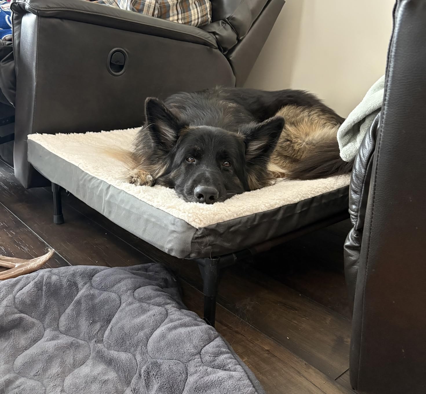 Bedsure XL Dog Bed, Extra Large Pet Bed with Comfy Sherpa, 44x32in Grey | Orthopedic Egg Crate Foam, Comfort Support Flat Rectangle Pet Mat, Non-Slip Bottom, Removable Cover, For Extra Pet Up to 80 lbs customer photo 2