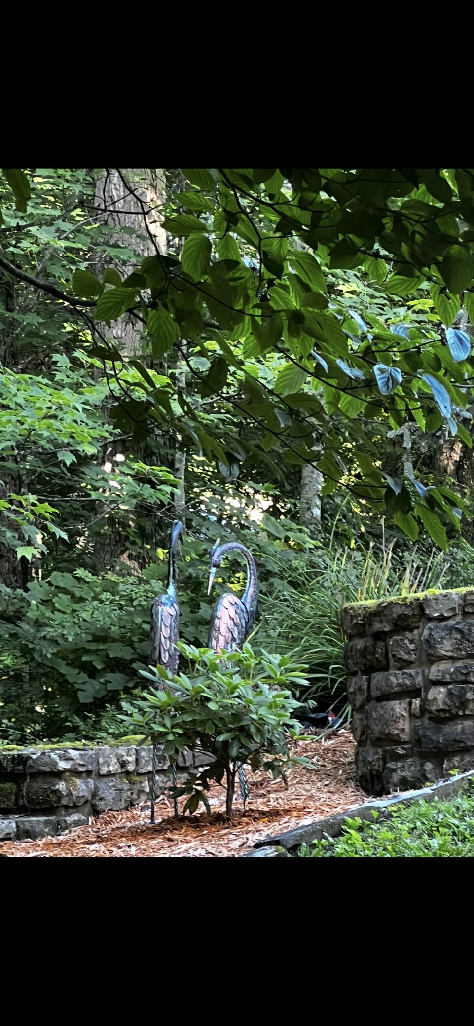 Kircust Garden Crane Statues Metal Heron Outdoor Statue 46 Inch | Standing Patina Decoy, Weather-Resistant and Rustless, Bird Yard Art for Patio Lawn Pond customer photo 1
