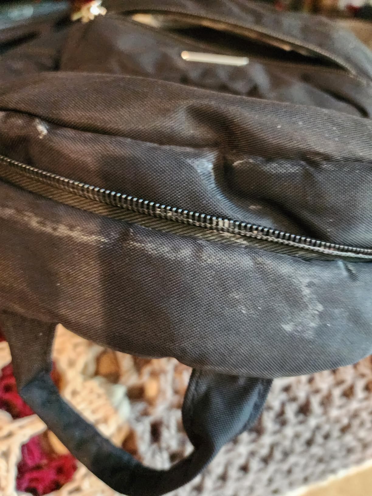 Travelon Anti-Theft Essentials Small Backpack customer photo 2