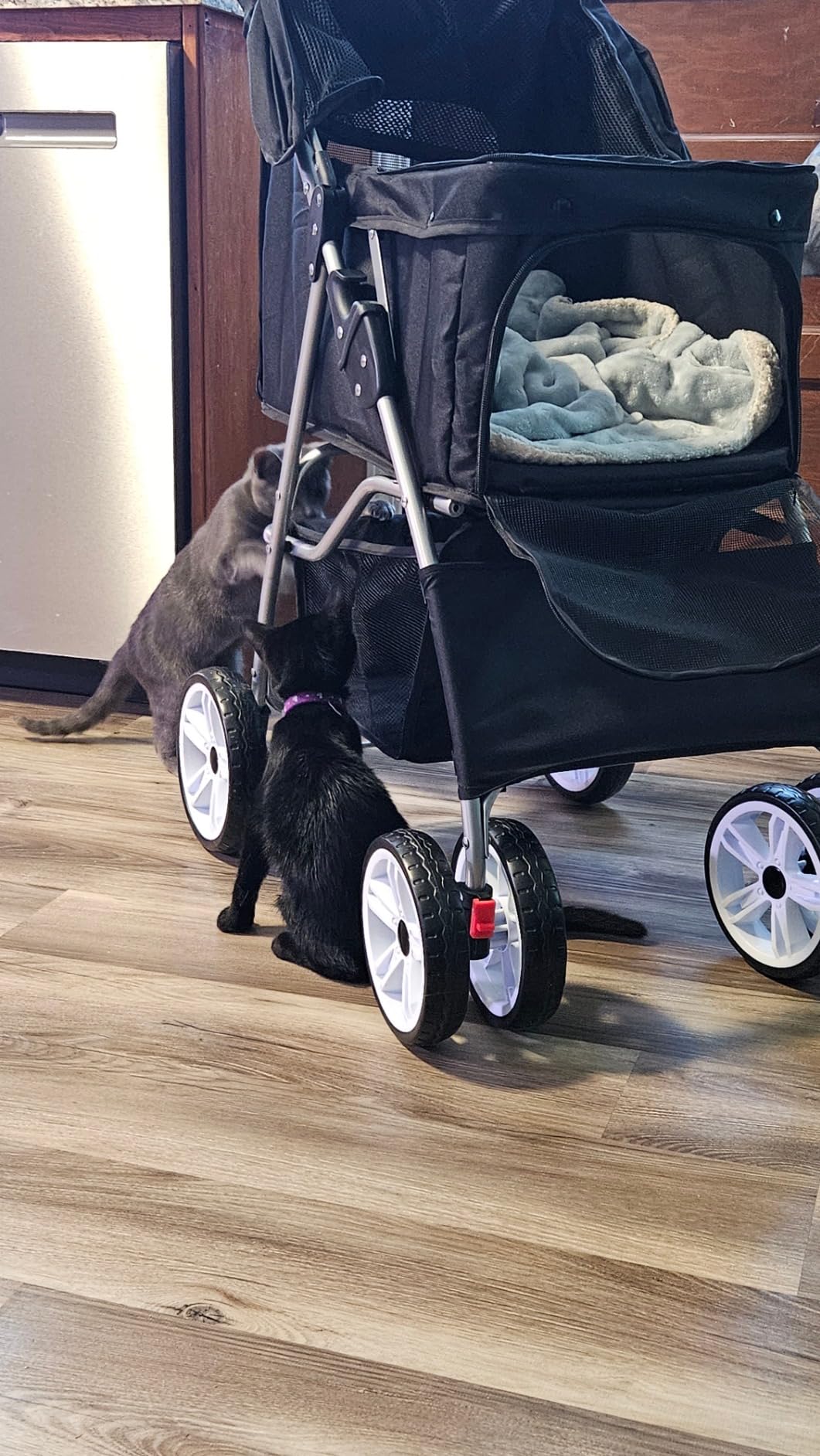 4 Wheels Pet Stroller Dog Cat Stroller for Small Medium Dog Cats Foldable Carrier Jogger Travel Puppy with Storage Basket and Cup Holder (Black) customer photo 1