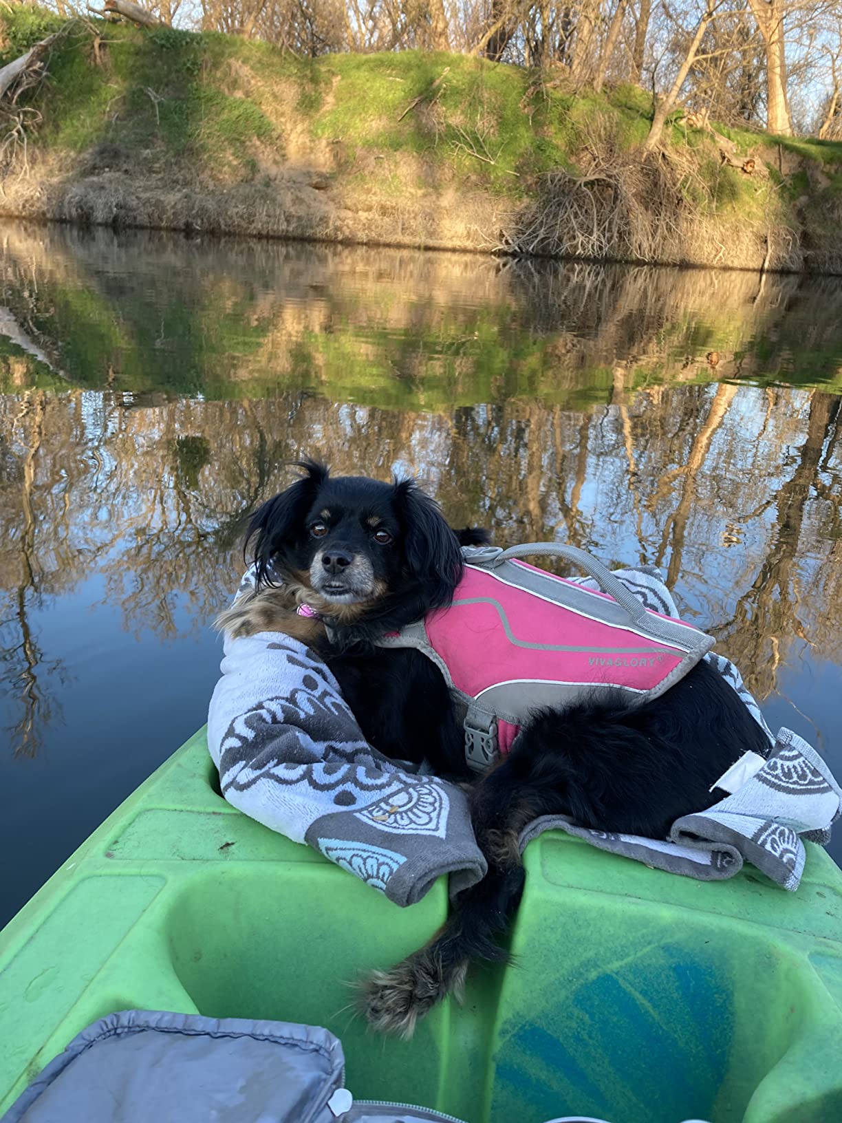 Perception Zip 9.5 | Sit on Top Kayak for All-Around Fun | Stable and Fast | Rear Storage with Tie Downs customer photo 2