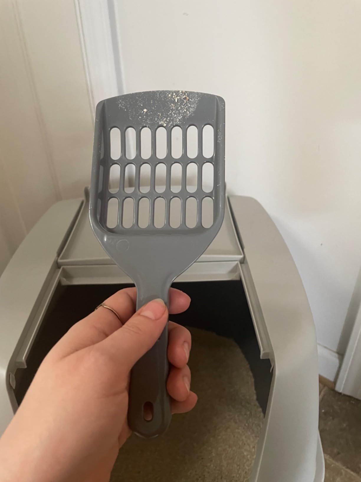 IRIS USA Large Front Door Cat Litter Box, Walk-in Entry, Gray | Easy Access Needs, Private Enclosure Design, Covered Walk-Through, Contained Environment, Privacy Hood customer photo 2