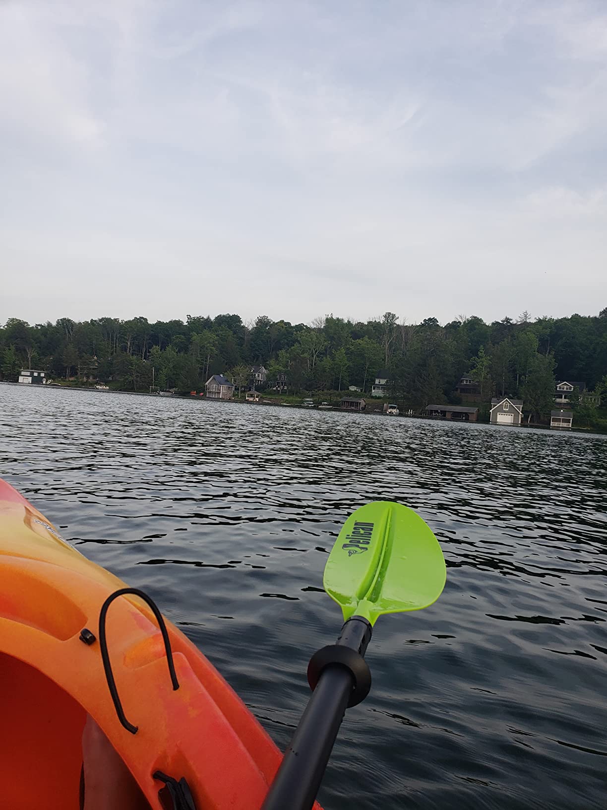 Pelican- Standard Kayak Paddle - Aluminum Shaft and a Durable Polypropylene Blade - 0/65° Blade Angle - with Drip Ring customer photo 1