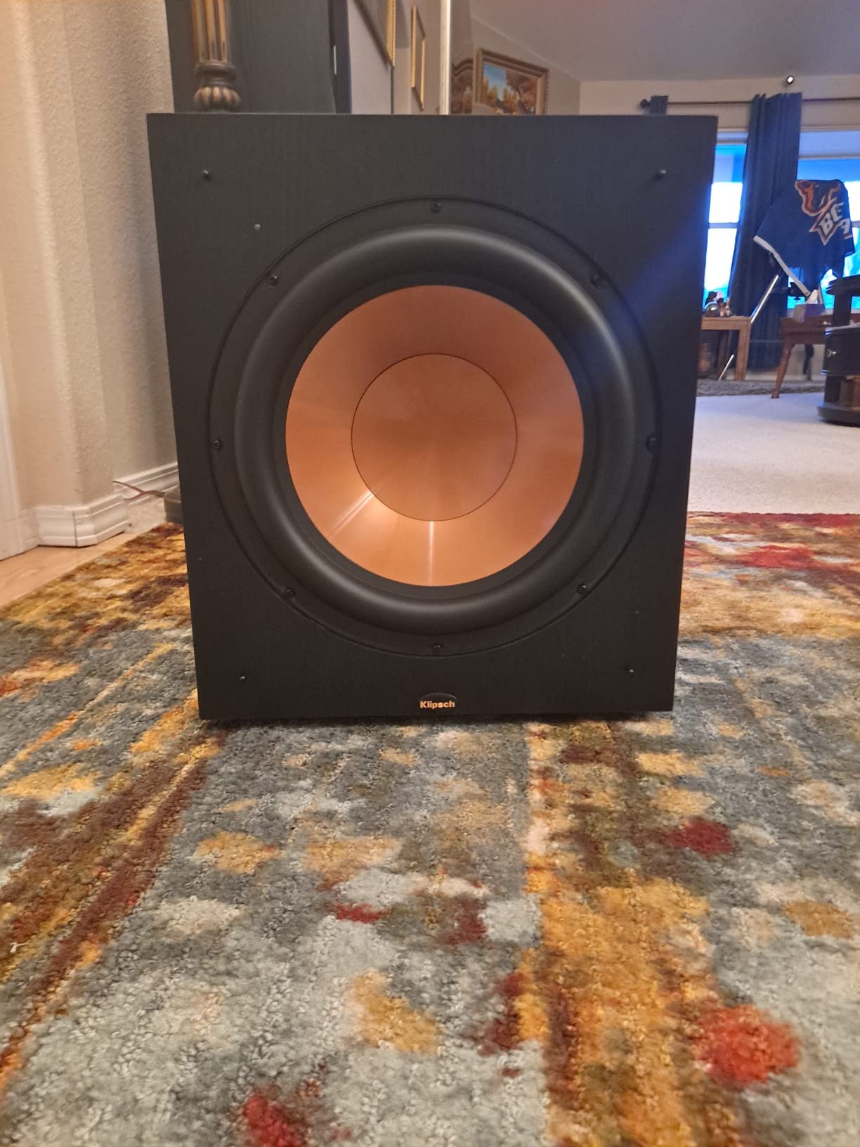 Klipsch Synergy Black Label Sub-120 12