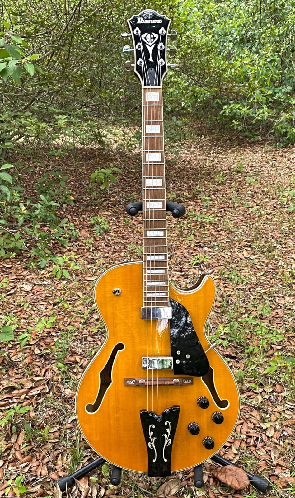 Ibanez George Benson Signature GB10EM - Antique Amber customer photo 1