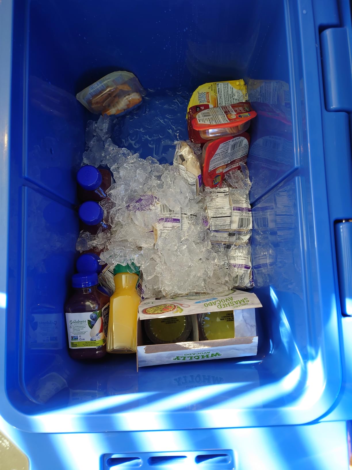 Blue Coolers Ice Vault - 60 Quart Roto-Molded Ice Cooler with Wheels | Large Ice Chest Holds Ice up to 10 Days customer photo 2