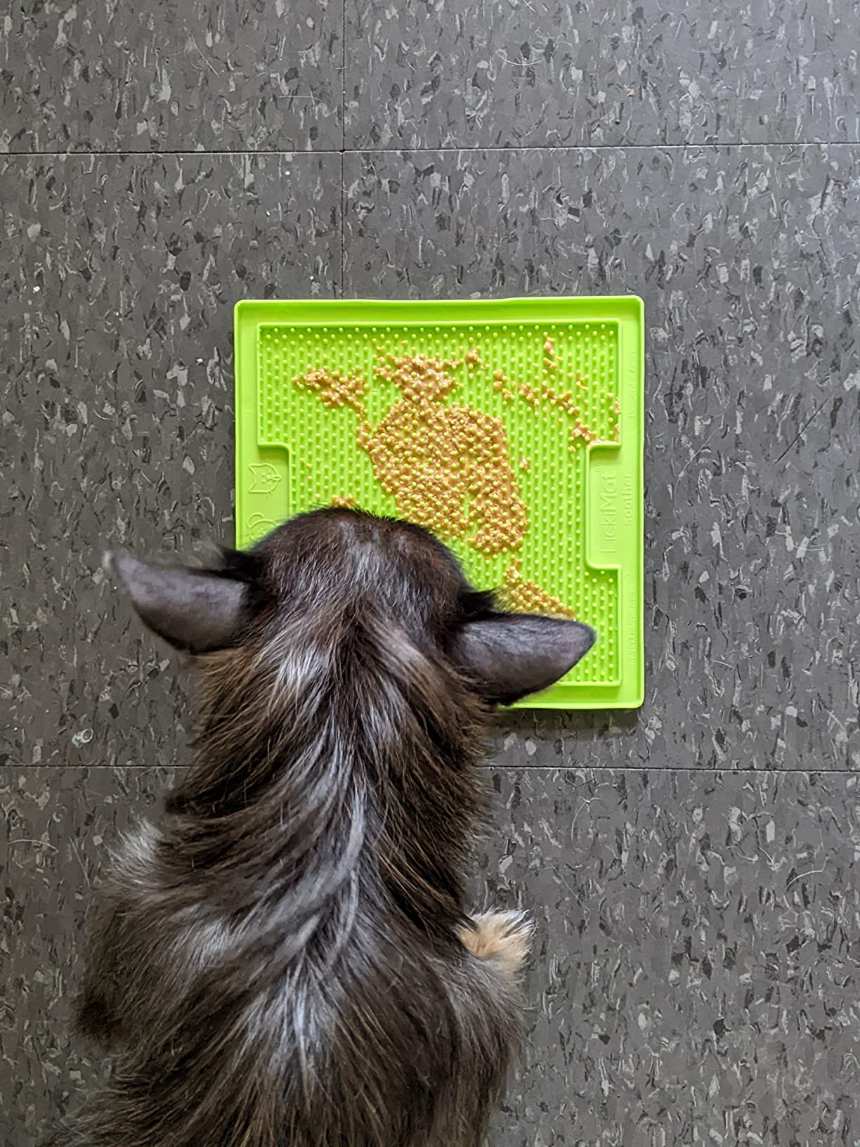 LickiMat Classic Soother Slow Feeder for Dogs Lick Mat Boredom Anxiety Reducer Perfect for Food Treats Yogurt Liquid Food Peanut Butter Fun Alternative to a Slow Feed Dog Bowl, Turquoise customer photo 2