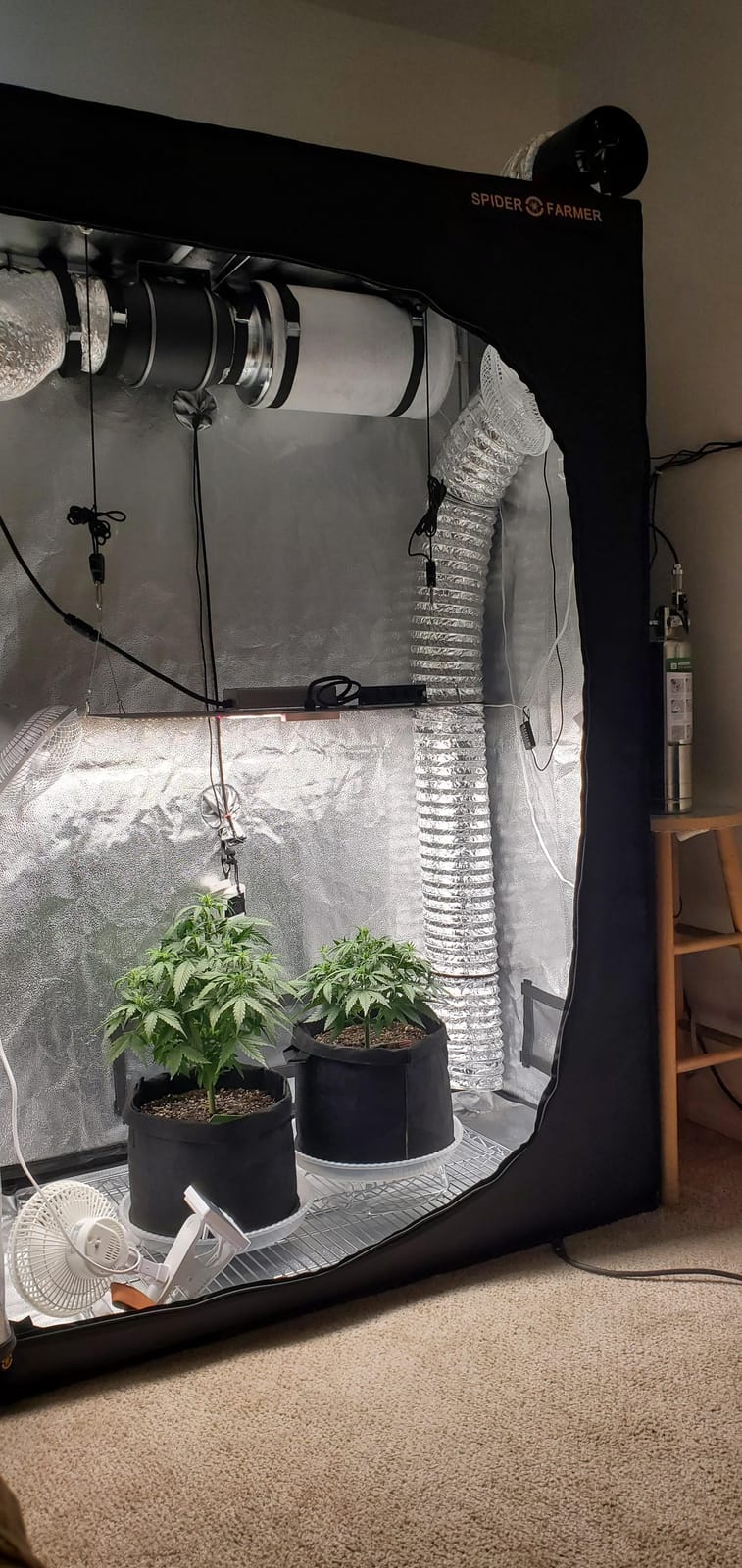Spider Farmer 2x4 SF2000 200W Complete Grow Tent Kit with Speed Control | Full Spectrum Dimmable LED Grow Light, 24