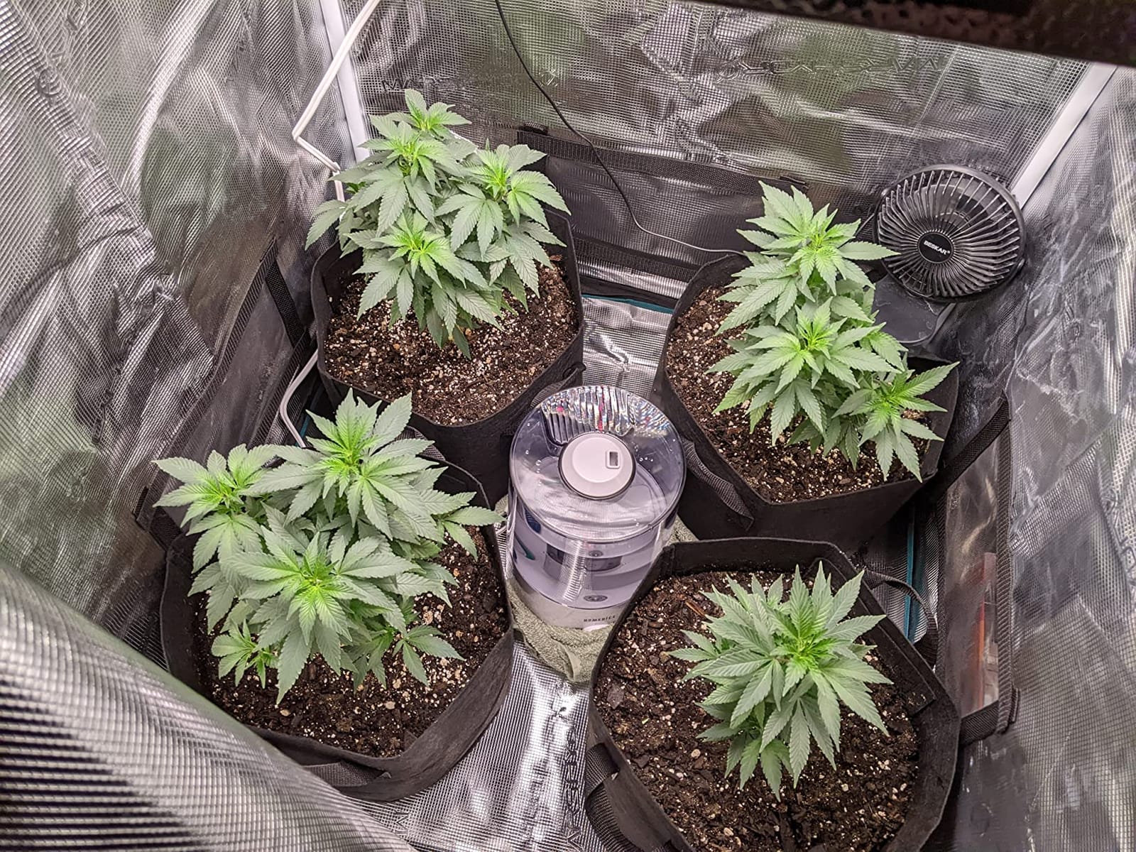 MARS HYDRO 3x3 Grow Tent Kit with WiFi-Integrated Controller 43,150W TS1000 LED Programmable&Dimmable Grow Light, 32