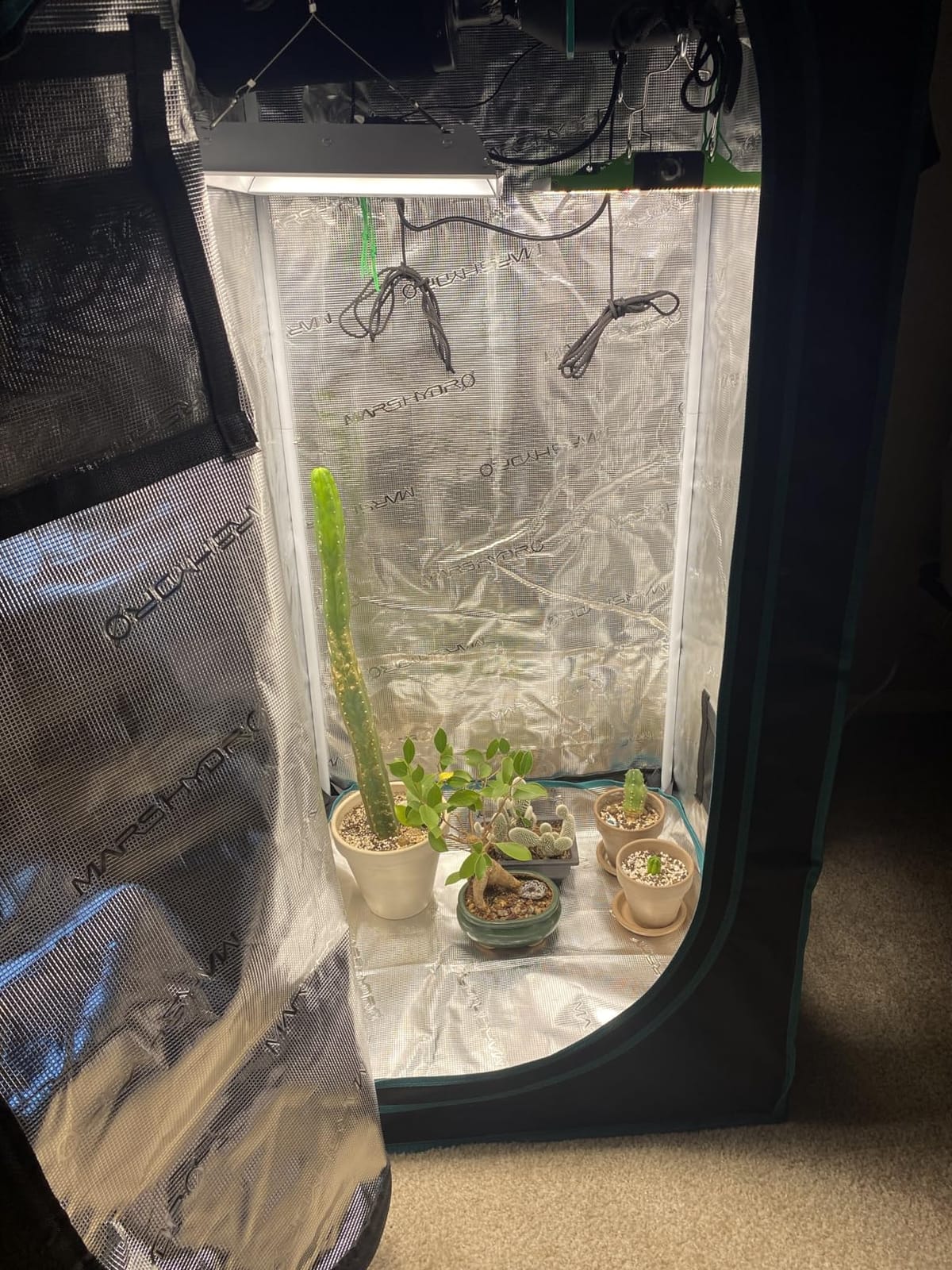 MARS HYDRO 2x2 Grow Tent Kit Complete System with 10 Speed Fan,100W Upgraded TS600 LED Dimmable Grow Light,24