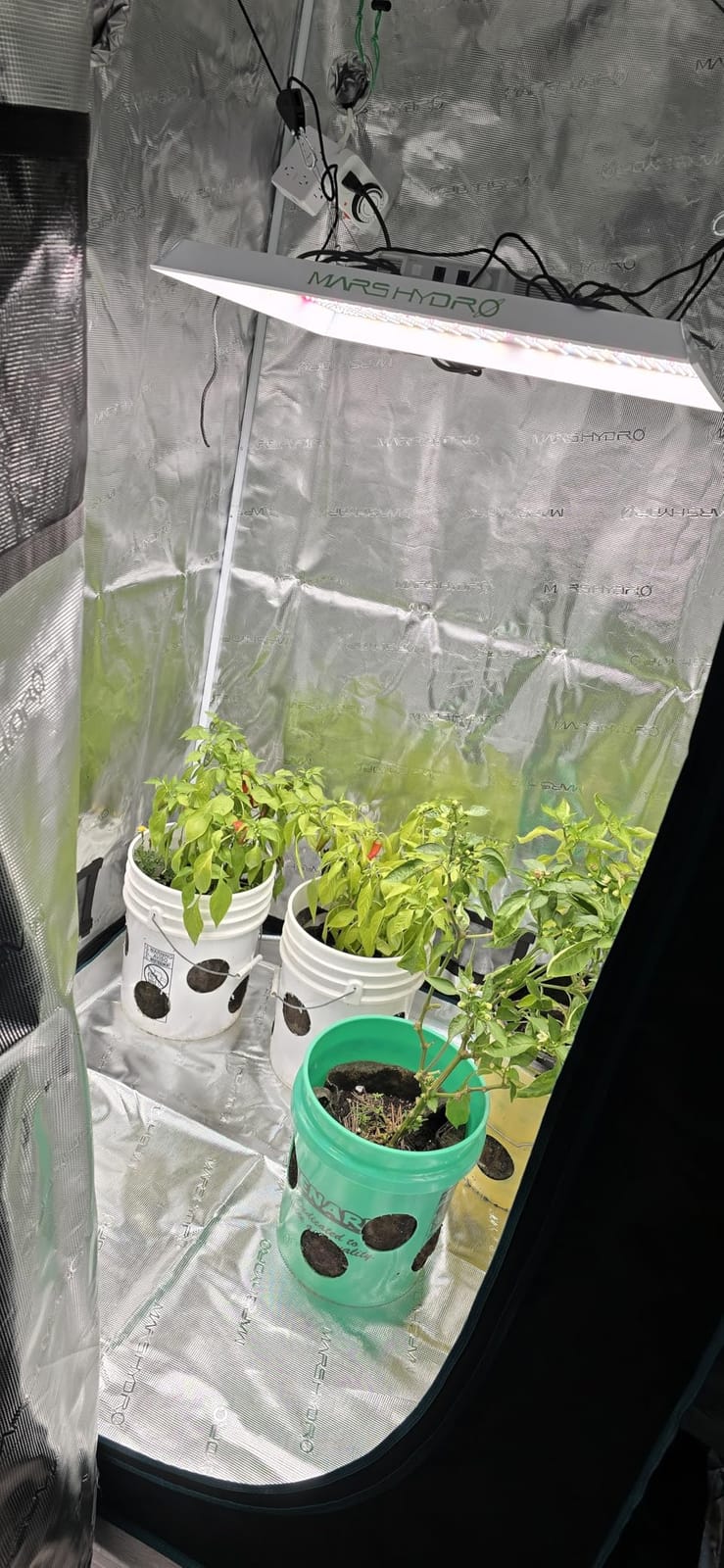 MARS HYDRO Smart Grow Tent Kit,3.3 x3.3 ft,WiFi-Integrated Controller 43,300W TSW2000 4x4 Full Coverage Dimmable Light,40