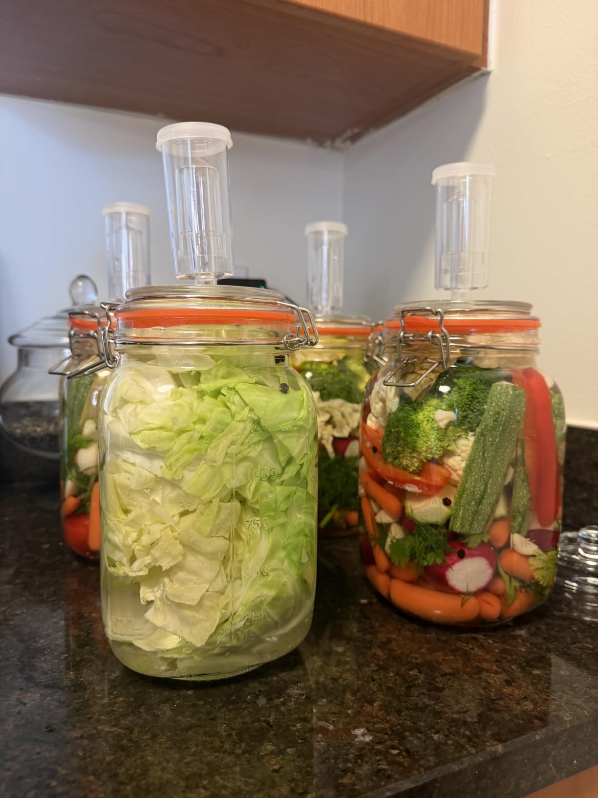 JILLMO 1.5L Wide Mouth Glass Fermentation Jar with Airlock & Weight, 2 Pack customer photo 2