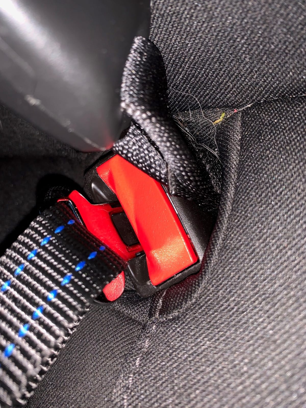 Active Pets Black Car Seat Belt for Dogs, Attaches to Harness & Collar, Adjustable 18