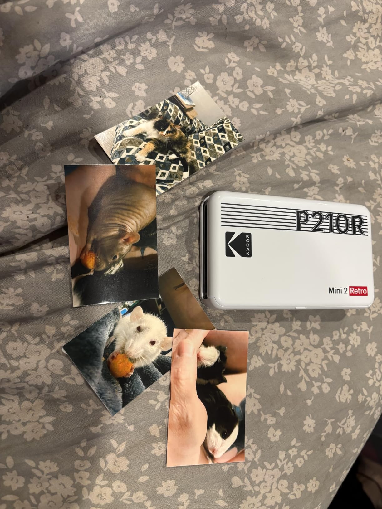 KODAK Mini 2 Retro 2x3 Portable Photo Printer, 4PASS, 38 Sheets, White | Bluetooth, iPhone & Android Smartphone Compatible, Smudge-Proof, Water-Resistant, Fade-Resistant customer photo 2