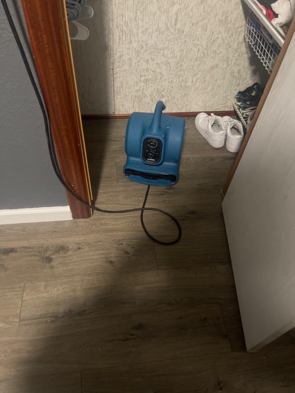 XPOWER P-230AT Mini Mighty 1/4 HP 925 CFM Centrifugal Air Mover, Carpet Dryer, Floor Fan, Blower, Stackable, Daisy Chain, for Water Damage Restoration, Janitorial, Plumbing, Home Use customer photo 1