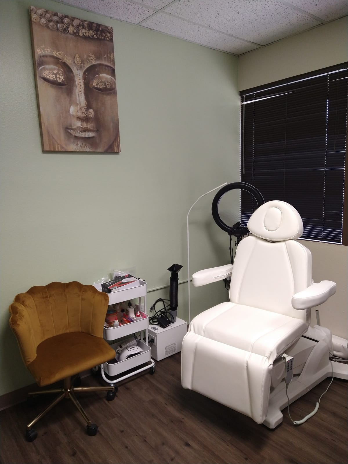 Dir Medical Spa Chair Facial Beauty Dental Podiatry Doctors Examination Chair PAVO customer photo 2