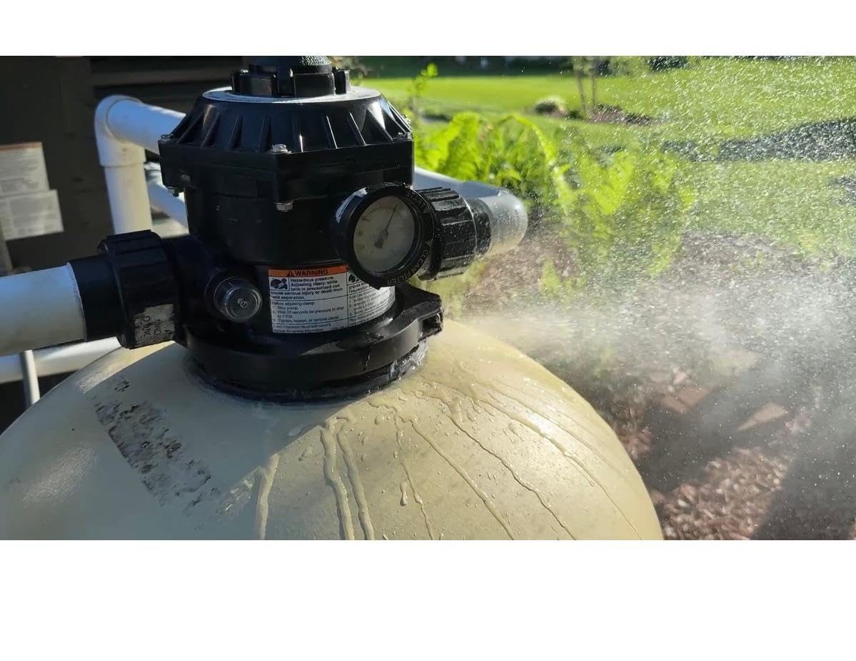 Pentair EC-145322 Sand Dollar SD60 Top Mount 22
