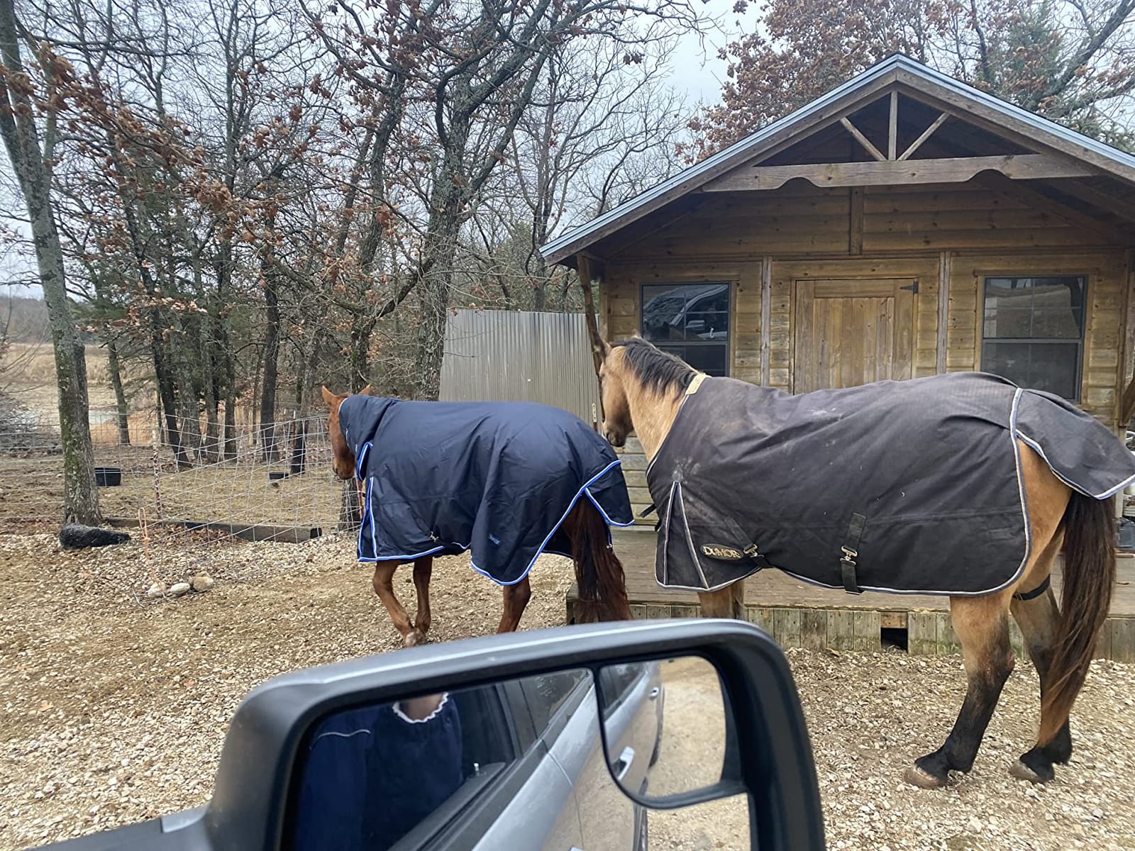 Horze Glasgow Waterproof Combo Turnout Horse Blankets for Real Horses - Medium Weight 150g Fill with Neck Cover customer photo 1
