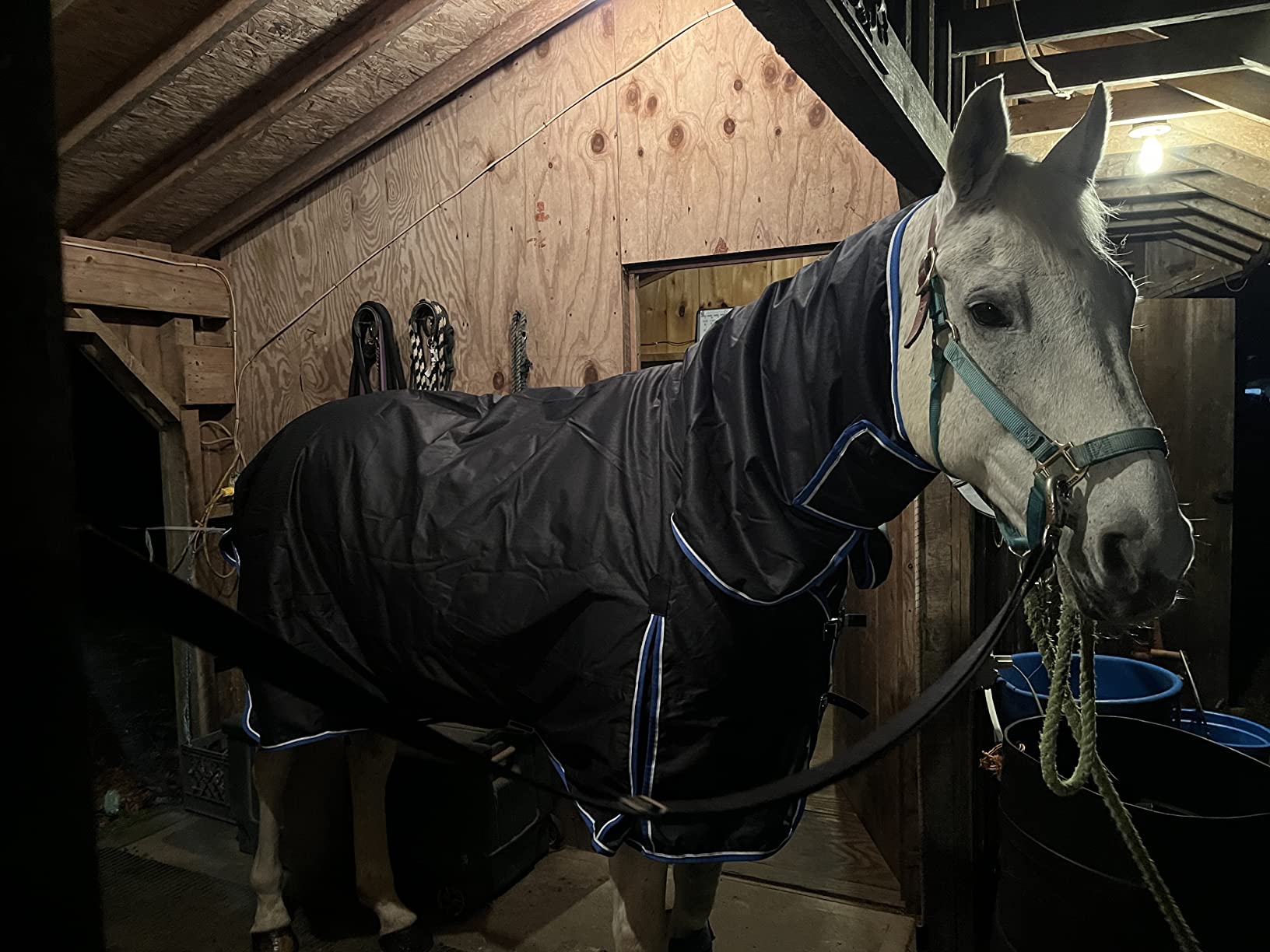 Horze Glasgow Waterproof Combo Turnout Horse Blankets for Real Horses - Medium Weight 150g Fill with Neck Cover customer photo 2