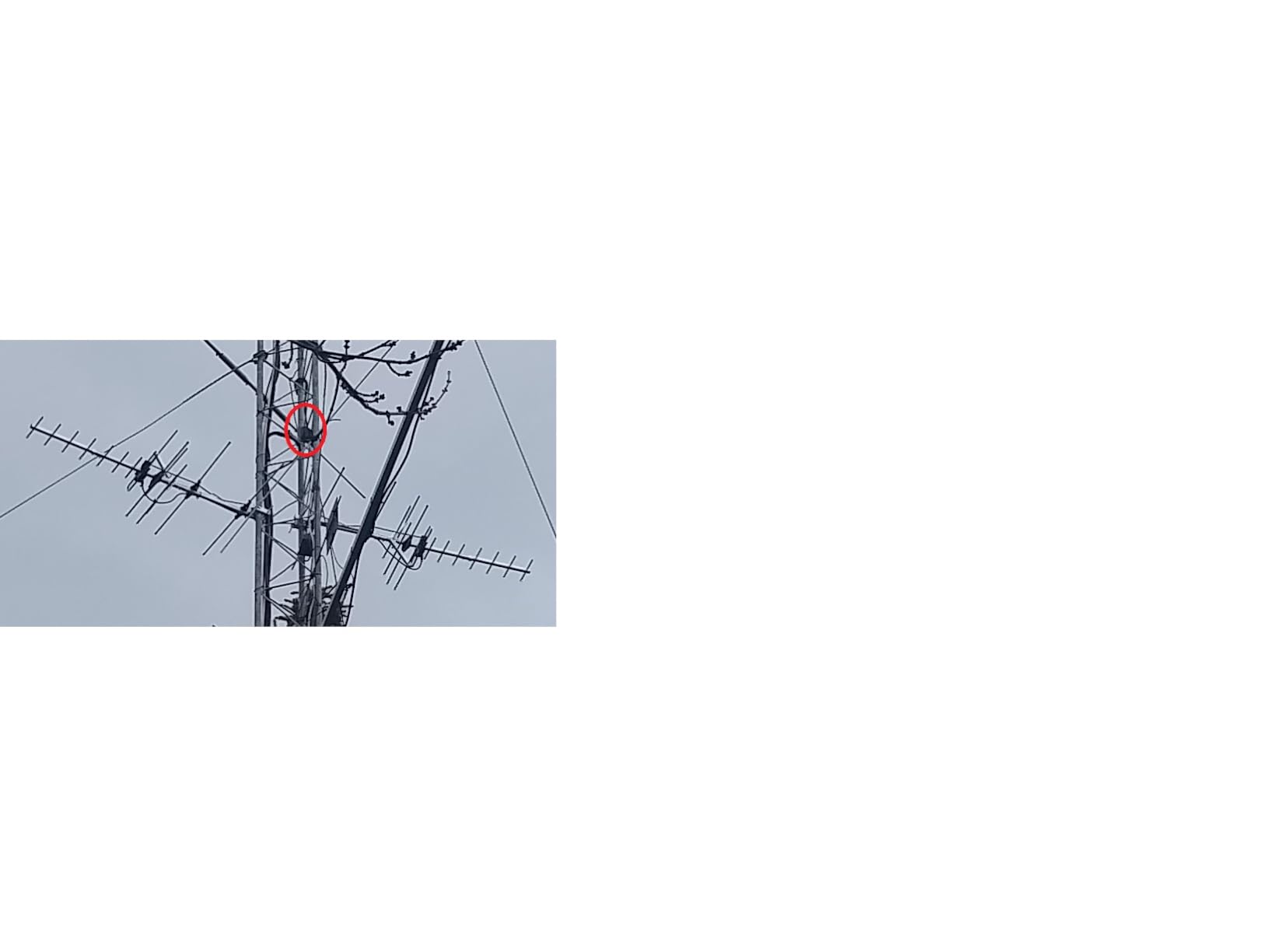 Televes 560483 TForce Mast Preamplifier – Dual Input, Combines Two Antennas, Automatic Gain Control, Full Band VHF/UHF, Built-in 5G/FM Filtering, Made in Spain customer photo 2