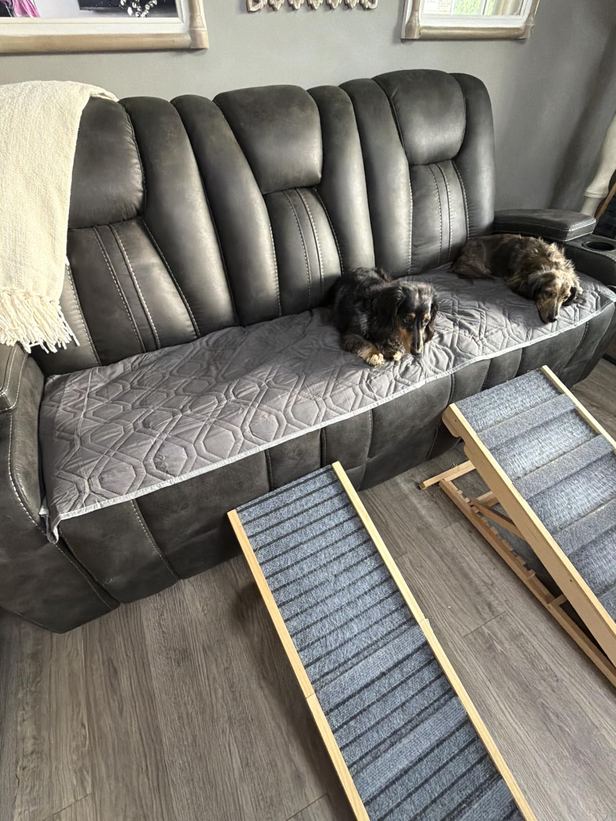 Ameritex Waterproof Dog Bed Blankets Cover for Bed Couch Sofa Reversible | Soft Washable Pet Blankets, Furniture Protector for Dogs Cats Couch Cover for Dogs (30x70 Inches, Grey+Dark Grey) customer photo 2