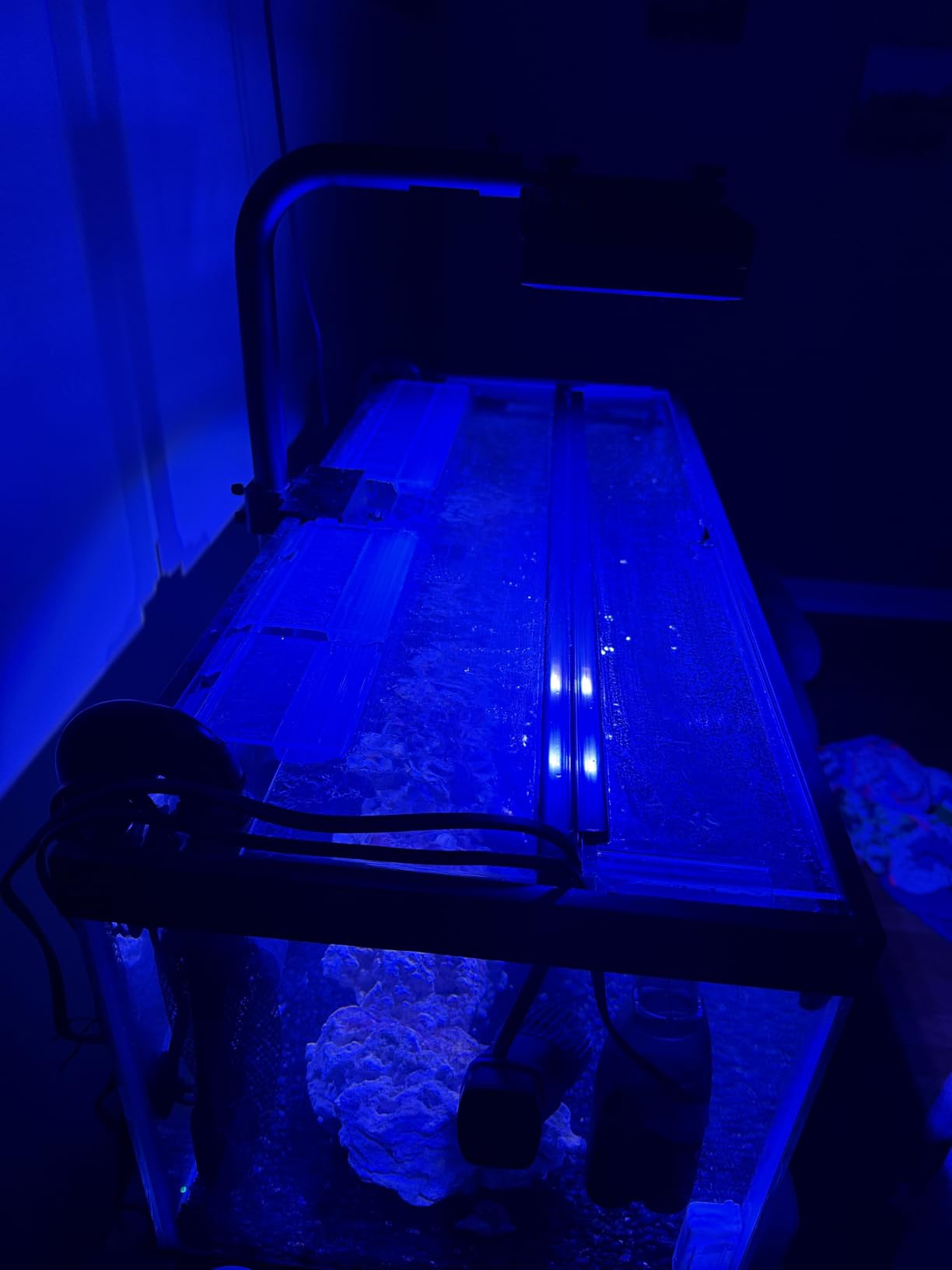 Aquarium Light - 95 Watt Sunrise Sunset Moonlight, Group Control Program Coral Reef Light Dimmable Full Spectrum for Marine Tanks, Saltwater Tank Light with Timer (Brackets) customer photo 1