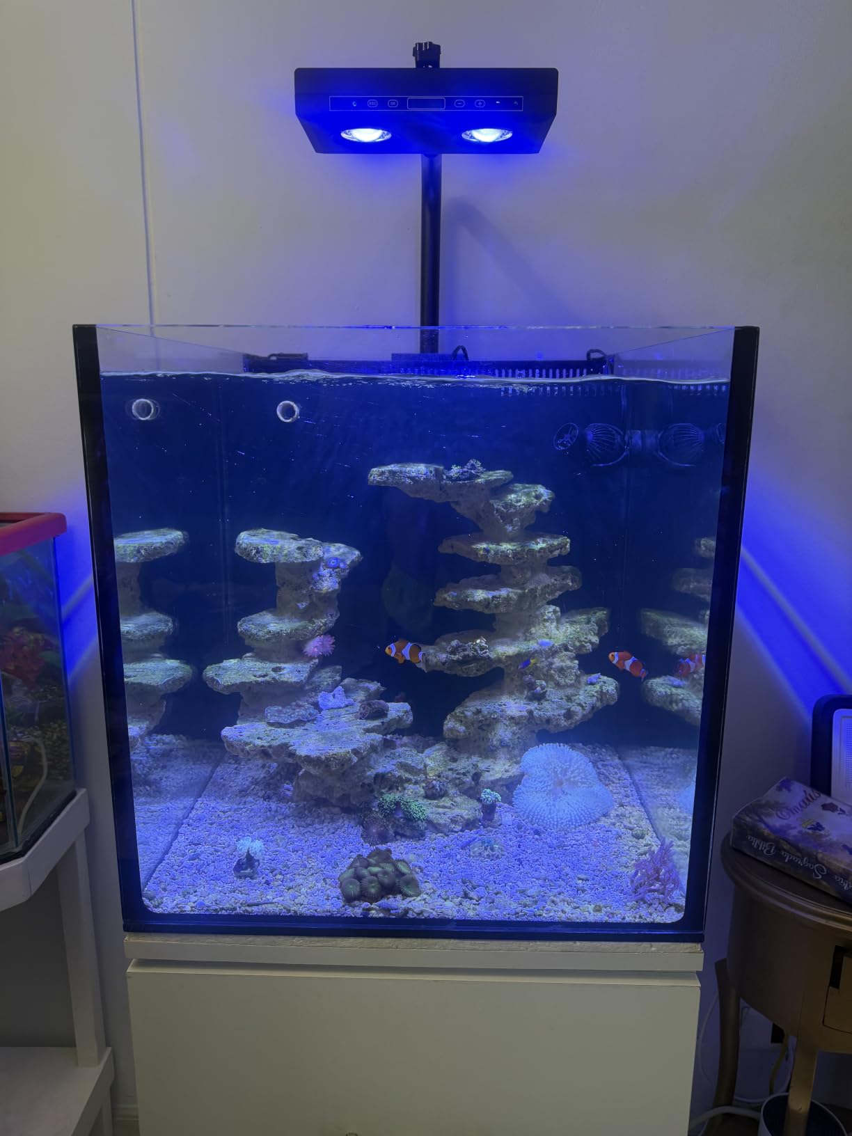 Aquarium Light - 95 Watt Sunrise Sunset Moonlight, Group Control Program Coral Reef Light Dimmable Full Spectrum for Marine Tanks, Saltwater Tank Light with Timer (Brackets) customer photo 2