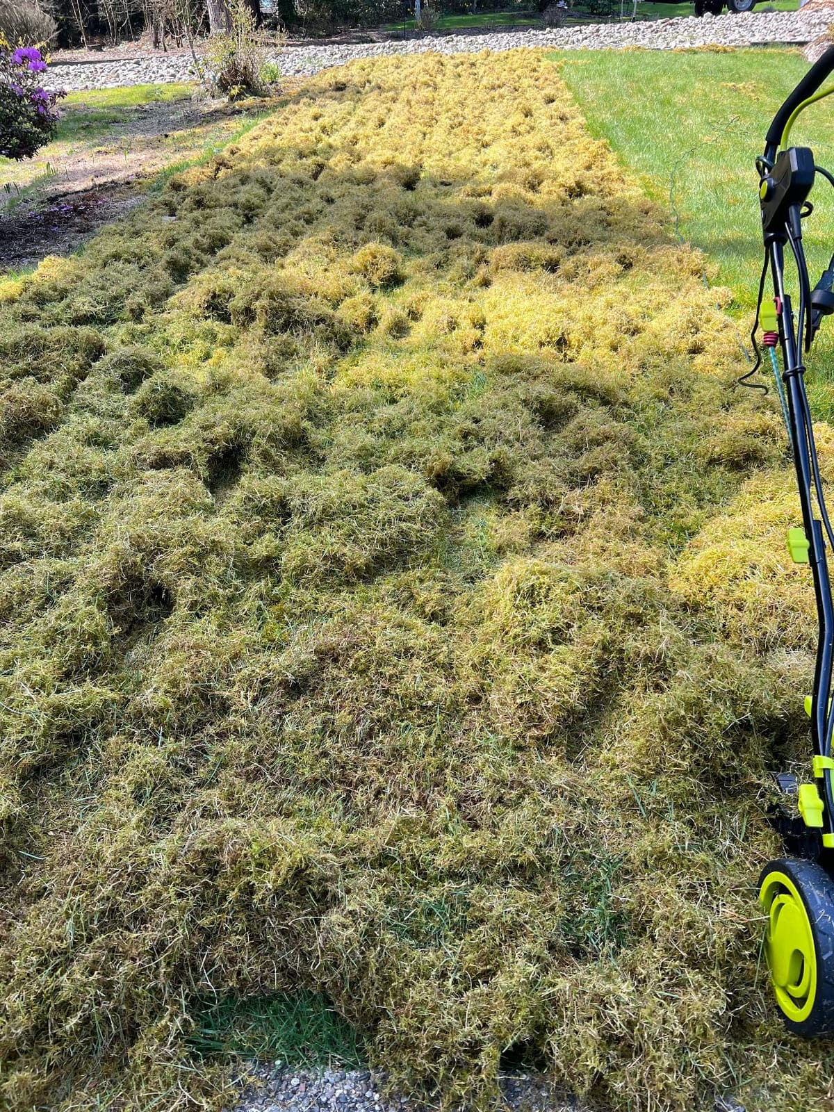 Sun Joe AJ805E 15-Inch Lawn Dethatcher with Scarifier Blade Reel and Collection Bag, 13-Amp Corded Yard Power Rake Tool customer photo 1