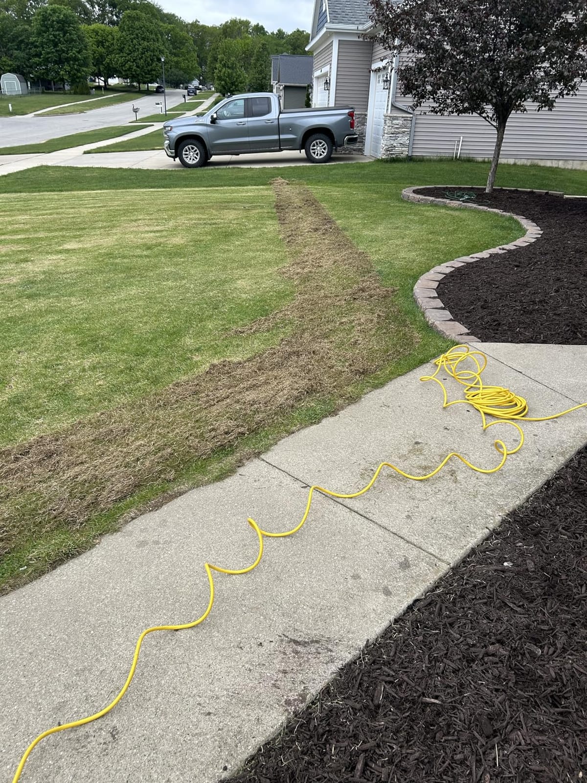 Sun Joe AJ805E 15-Inch Lawn Dethatcher with Scarifier Blade Reel and Collection Bag, 13-Amp Corded Yard Power Rake Tool customer photo 2