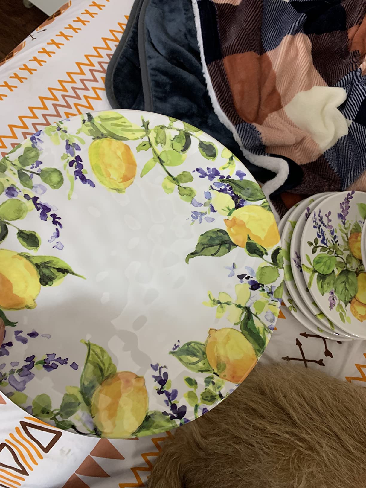 Lemon Zest 12-Piece Melamine Dinnerware Set, Service for 4 - Unbreakable Outdoor Plates & Bowls for Patio Dining, Summer BBQs, Poolside Meals, Picnics, Everyday Family Use & Entertaining customer photo 1