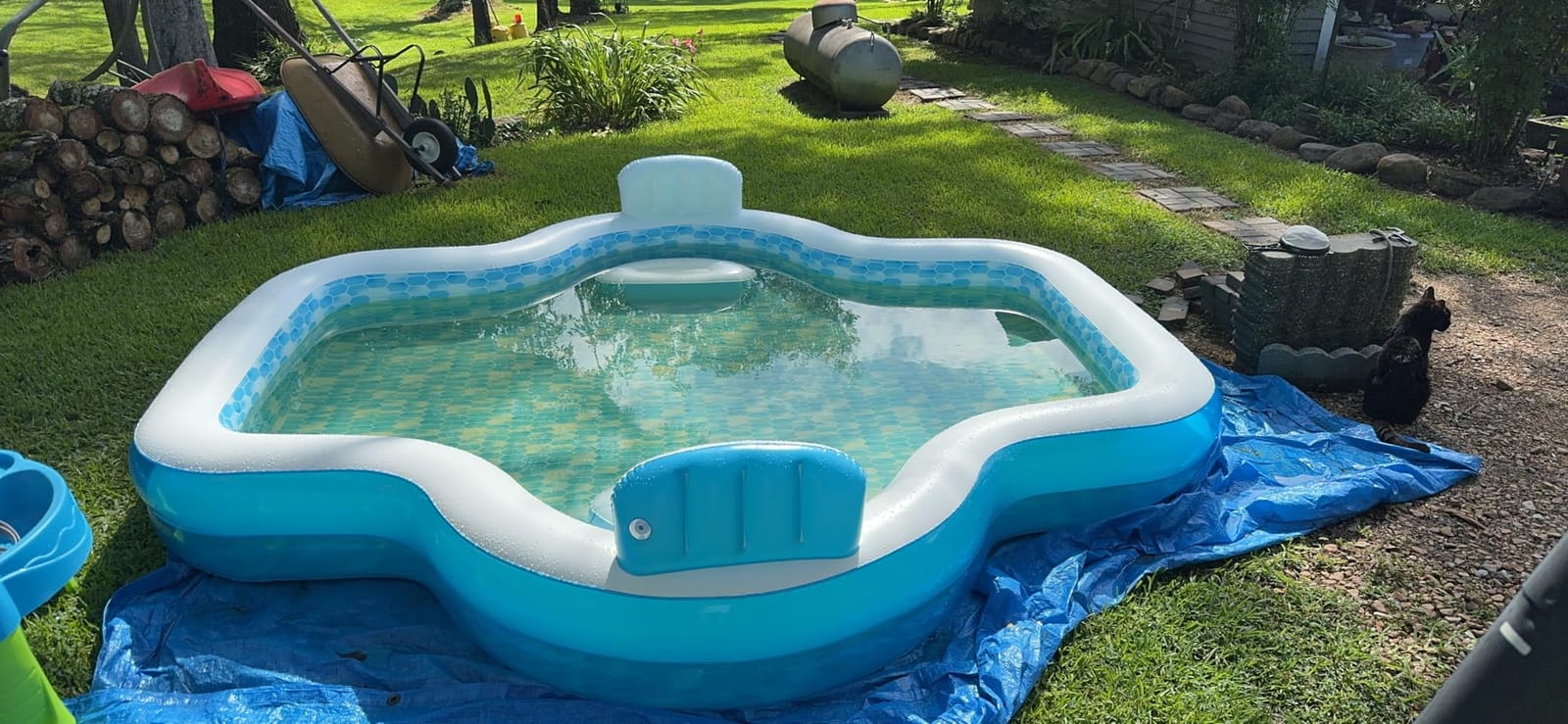 Members Mark Elegant Family Pool 10 Feet Long 2 Inflatable Seats with Backrests. New Version customer photo 2