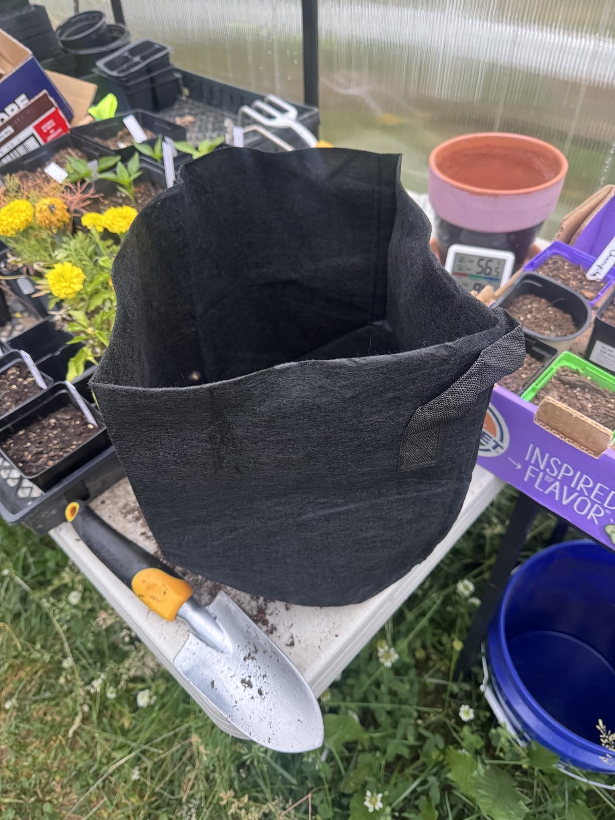 JNYONG 12-Pack 10 Gallon Thickened Non-Woven Grow Bags | Aeration Fabric Pots with Handles customer photo 1
