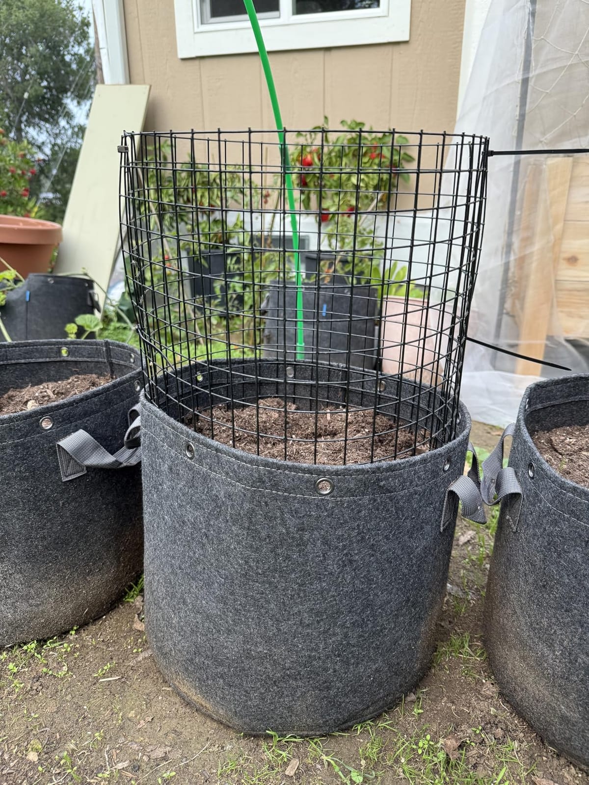 AC Infinity Heavy Duty Fabric Pots, 5 Gallon Aeration Reusable Grow Bags. | 5-Pack with 500G Thick Nonwoven Fabric and Multi-Purpose Rings, for Low Stress Plant Training Fruits, Vegetables, and Flowers customer photo 2