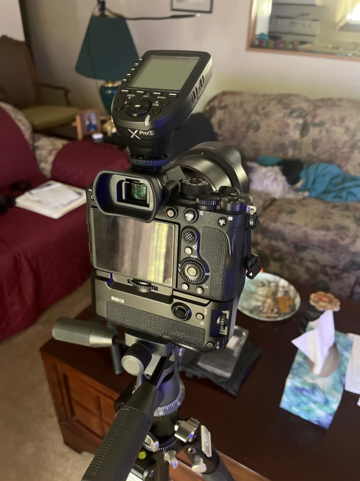 GIGASTONE 128GB SD Card 4K Camera Pro, 150MB/s Read | UHS-I A1 V30 U3 Class 10 SDXC Memory Card 4K UHD Video (with Mini Case) customer photo 2