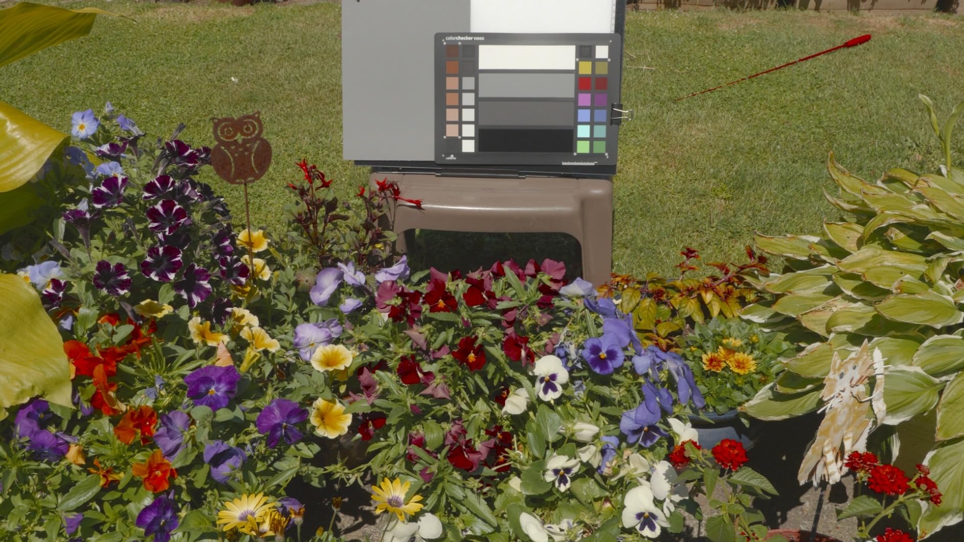 Calibrite ColorChecker Video Color Target w/White Balance Reference for Video Production, Vectorscope and Waveform Optimized Layout with Skin Tones and Grays customer photo 1